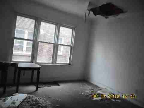 8266 Badger (20)_m.jpg